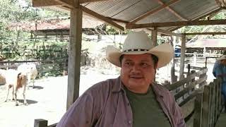 Testimonios de clientes satisfechos parte 1