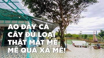 Chị Nguyệt nhượng lại nhà vườn ao cá Bảo Lộc đủ loại trái cây bước vào mê mẫn