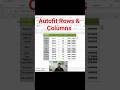 Autofit Rows & Columns