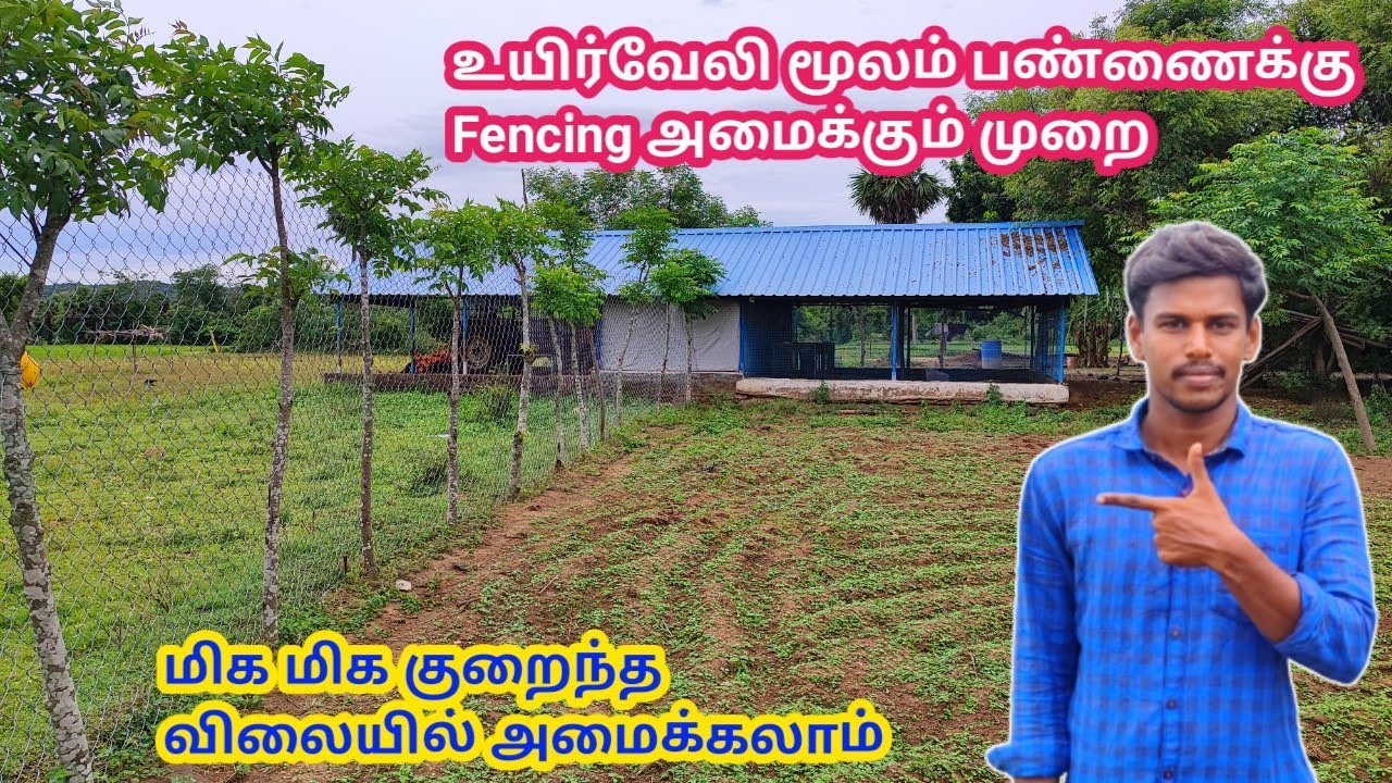 பண்ணைக்கு உயிர் வேலி மூலம் Fencing அமைக்கும் முறை | Nithin fencing | farm fencing