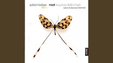 Quartet In C Major, "Les Dissonances", K 465: III. Menuetto - Allegro