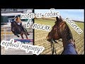 VLOG: 2 дня из жизни конника🐎/ equestrian blog