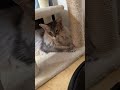 寝起きドッキリ 失敗