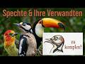 Von Tukanen zu Spechten: die Vielfalt der Piciformes (Vögel der Welt 15)