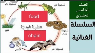 شرح السلسلة الغذائية food chain منهج الصف الخامس الابتدائي المنهج الجديد