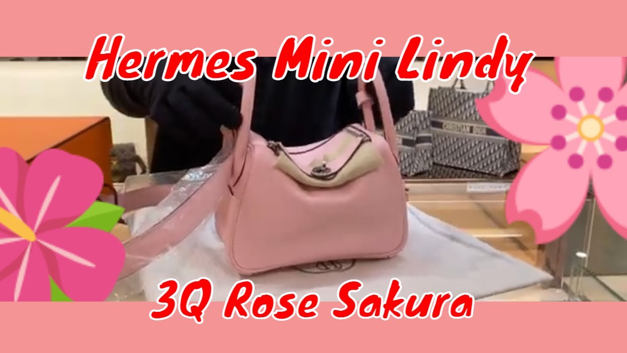 Hermes Mini Lindy Rose Sakura Swift