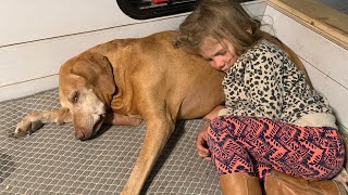 HEARTBREAKING: We Say Goodbye To Another Pet! by It's Worth It 905 views 2 years ago 8 minutes, 49 seconds