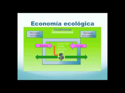 Water, a vision of political ecology and environmental ethics | Eros Rodriguez | TEDxTulum - Water, a vision of political ecology and environmental ethics | Eros Rodriguez | TEDxTulum