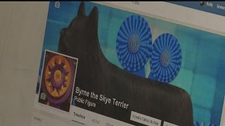 WKBN producer showing dog at Westminster