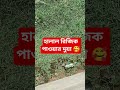 এই দোয়া পড়লে, হালাল রিজিক পাওয়া যায়! আবু ত্বহা আদনান #islam #motivation #viral #shorts #waz