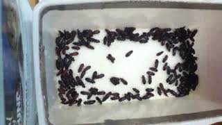 Img 1675 672