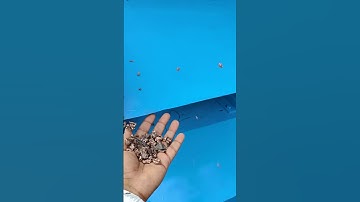 Aluminium & Copper Separation (TALK) Metal Separation, Gravity Separator