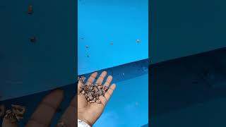 Aluminium & Copper Separation (TALK) Metal Separation, Gravity Separator