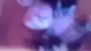 Dot Warner Shaking Hips