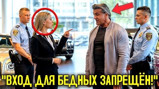 видео:  картинка: