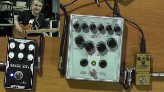 Обзор Caline Snake Bite reverb #119