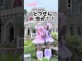 プリンセスの天敵とは、、、#りりぴ #夏目ラリッサ #ひめらぶ #100ちゅき #みんなで100ちゅき #princessidol