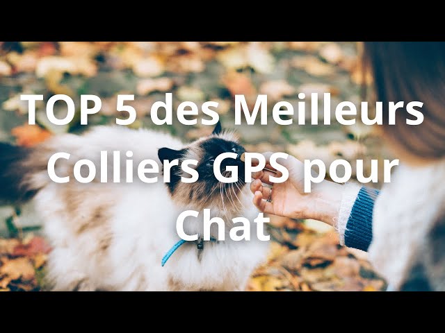 GPS Chat : Mes Tests Des 8 Meilleurs, Mes Avis et Guide 2023