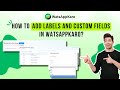 How to Add Labels and Custom Fields in WatsAppKaro | WhatsApp #whatsappapi #whatsappautomation