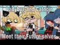 LadyBug and Catnoir meet their Future Selves || My AU || MLB || 4K+ Special 💜