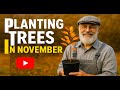 Tropical Gardening Mid November Update