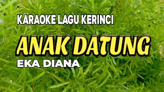 Lagu Kerinci Karaoke Anak Datung (Karaoke/Lirik) || Vocal : Eka Diana