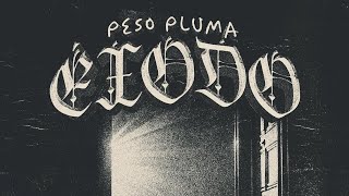 Last Song - Peso Pluma