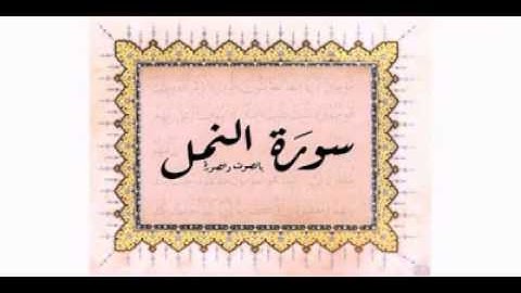 ما تيسر من سورة النمل بصوت الشاب بلال مواسي