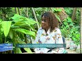 INFOS VERTES AVEC JEAN MANGALIBI MOSENGO SUR LE JARDIN ZOOLOGIQUE DE KINSHASA 