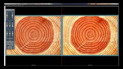 Microptik MIFIS4 fiber analysis software
