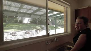 19 Douglas Ave, North Epping