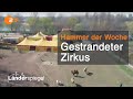 Dieser Zirkus soll morgen weg sein! - Hammer der Woche vom 08.02.2020 | ZDF