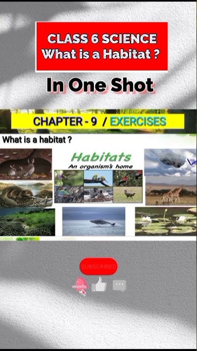 What Is A Habitat Class 6 Science Chapter 9 YouTube what-is-a-habitat-class-6-science-chapter-9-youtube