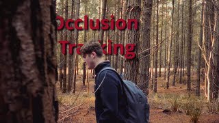Just Testing Occlusion Tracking In Blackmagic Fusion (Tracker + Magic Mask)