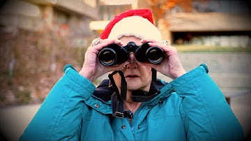 The Miracle on Military Trail - A new year filled with hope and care at U of T Scarborough