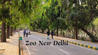 Zoo New Delhi Amirteeblogs live video #shorts #vlogs