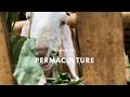 Agriculture en permaculture ferme kul kul 05  indonsie