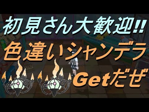 Usum シャンデラのおぼえる技 入手方法など攻略情報まとめ ポケモンウルトラサンムーン 攻略大百科