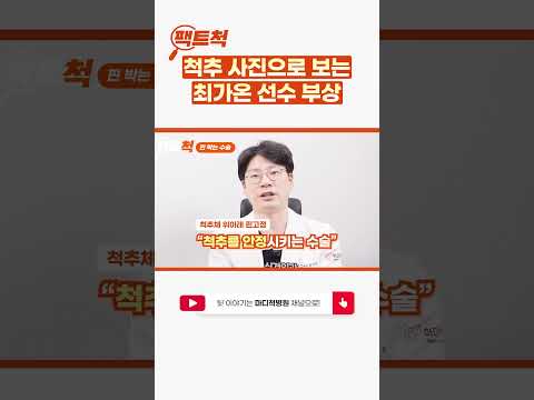 척추 사진으로 보는 최가온 선수 부상