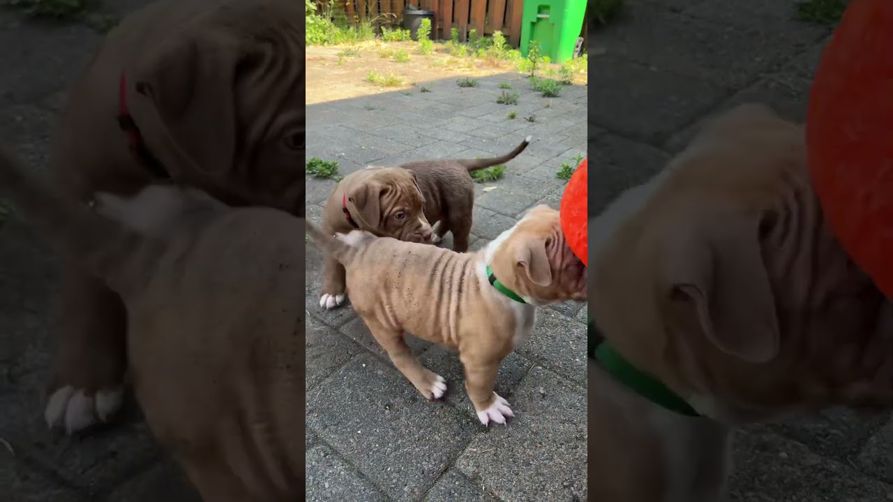 6 weeks and outside having fun with dad and aunt Becky 