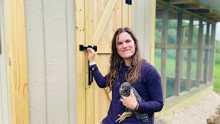 Our Dream, DIY Chicken Coop (FULL TOUR & Final Cost)