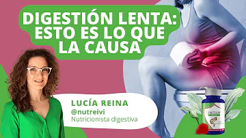 ¿El queso ralentiza el tránsito intestinal?