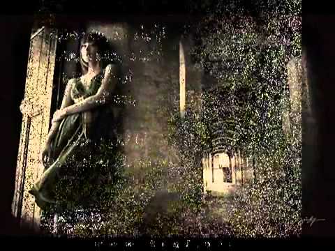 حمادة هلال ديما دموع سفيان صراحه راحه