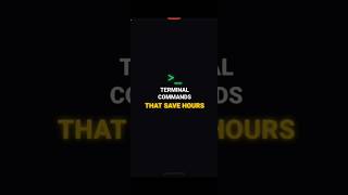 5 Terminal Commands Every Developer Needs Youre Missing