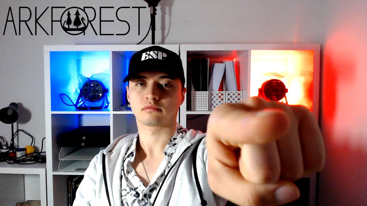 Arkforest uses multiple different musical styles in one song?