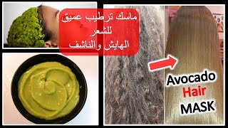 ماسك ترطيب عميق للشعر الهايش والمتقصف  ماسك للشعر الجاف والخشن  Avocado Hair Mask