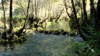 Senda do rio Barragán-Pazos de Borbén y Fornelos de Montes