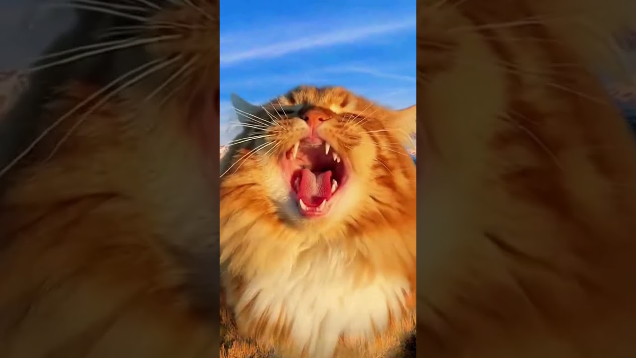 You Won't Believe What Happens! 