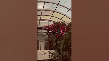 والحب يعترض اللذات بالألم 