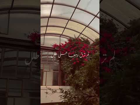 والحب يعترض اللذات بالألم